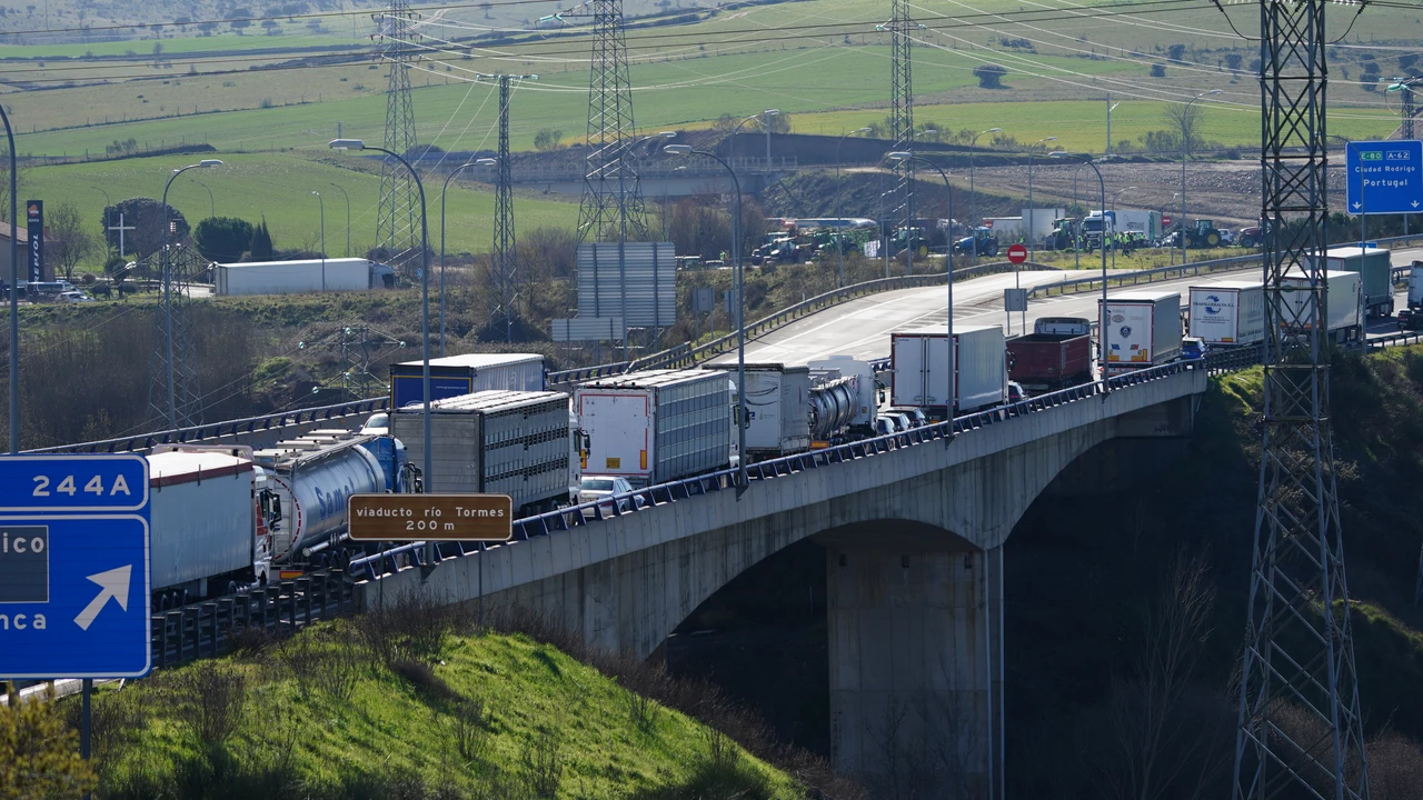 Fila de camiones paralizados en la carretera