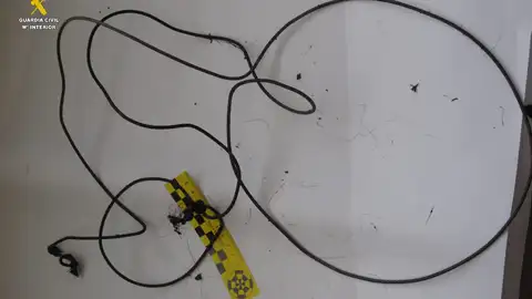 La Guardia Civil detiene a una persona como supuesto autor de la caza de un oso pardo en Ibias. lazo empleado acusado muerte oso pardo