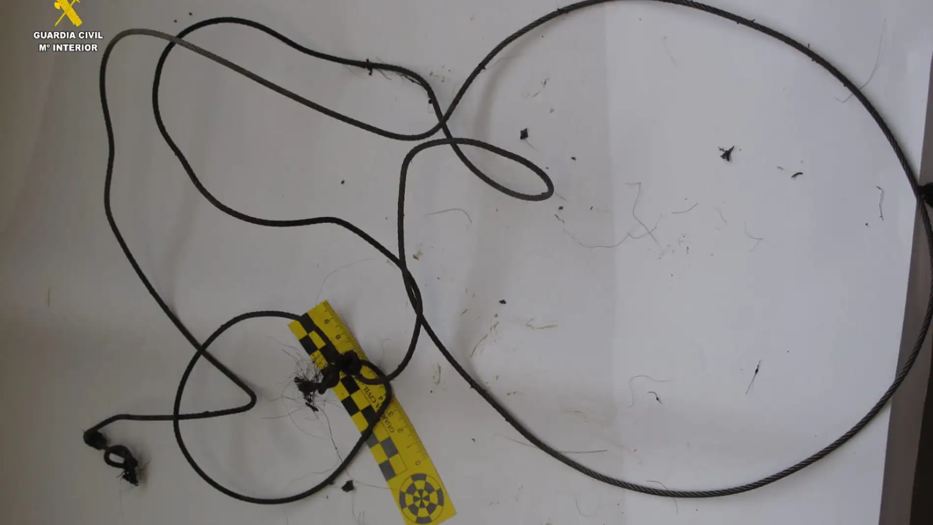 La Guardia Civil detiene a una persona como supuesto autor de la caza de un oso pardo en Ibias. La Guardia Civil detiene a una persona como supuesto autor de la caza de un oso pardo en Ibias.