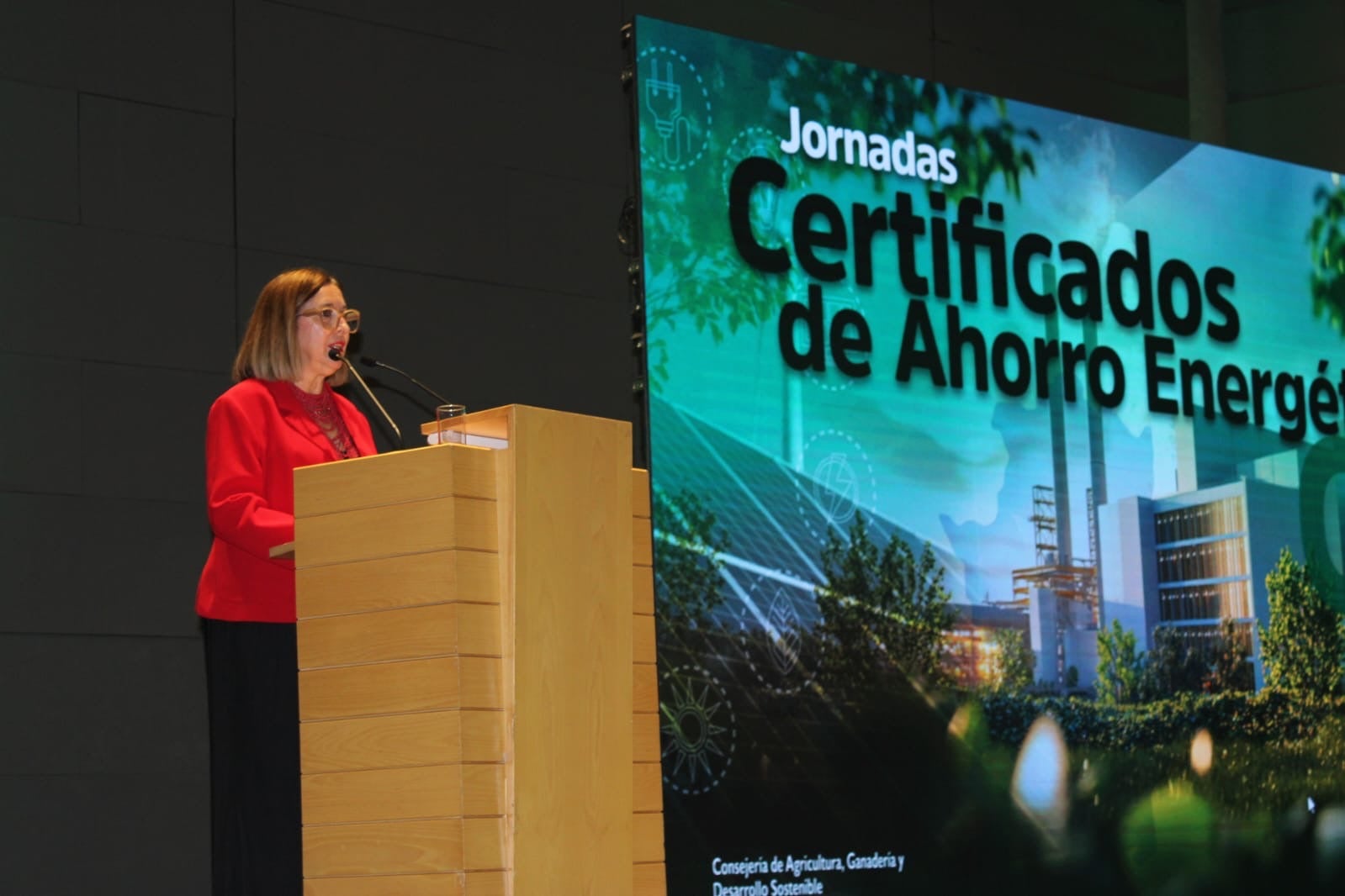 La Junta anima a empresas y administraciones públicas a solicitar los Certificados de Ahorro Energético La Junta anima a empresas y administraciones públicas a solicitar los Certificados de Ahorro Energético