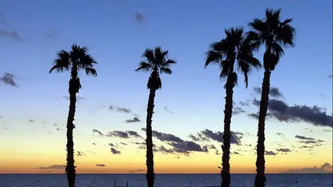 Amanecer en la Playa de San Juan Amanecer en la Playa de San Juan