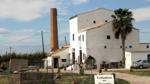 Trilladora del Tocaio de El Palmar