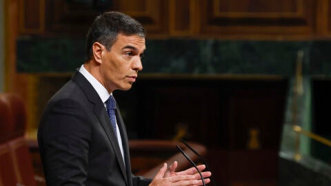 El jefe del Ejecutivo, Pedro S&aacute;nchez, en el Congreso