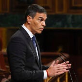 El jefe del Ejecutivo, Pedro Sánchez, en el Congreso