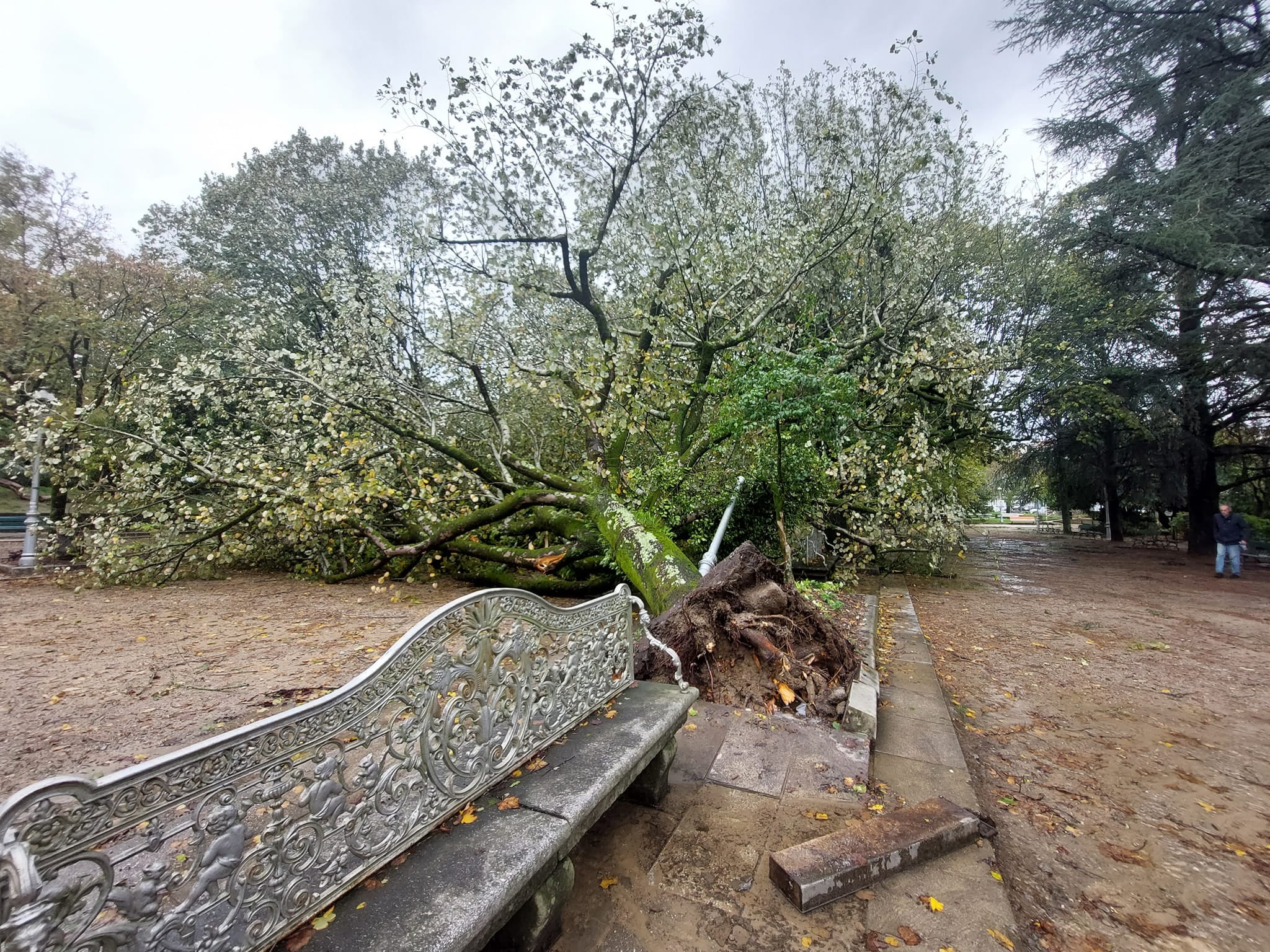 El temporal deja árboles caídos en Santiago, levanta parte del tejado del conservatorio de música y carreteras cortadas El temporal deja árboles caídos en Santiago, levanta parte del tejado del conservatorio de música y carreteras cortadas