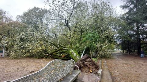 El temporal deja &aacute;rboles ca&iacute;dos en Santiago, levanta parte del tejado del conservatorio de m&uacute;sica y carreteras cortadas