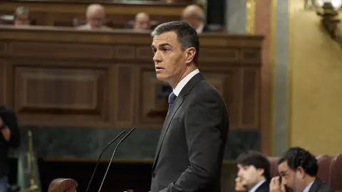 El presidente del Gobierno, Pedro Sánchez, interviene durante la sesión de control al Gobierno. El presidente del Gobierno, Pedro Sánchez, interviene durante la sesión de control al Gobierno.