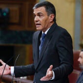 El presidente del Gobierno, Pedro Sánchez, durante el pleno del Congreso, este miércoles. EFE/ J.J. Guillen