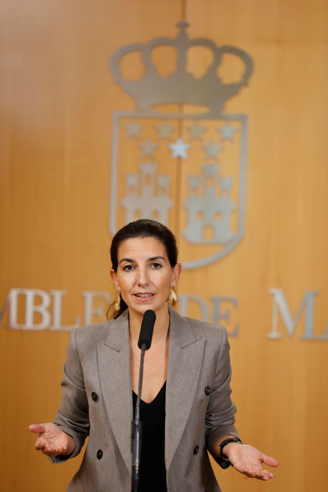 Vox sustituye a Rocío Monasterio como líder del partido en Madrid Vox sustituye a Rocío Monasterio como líder del partido en Madrid