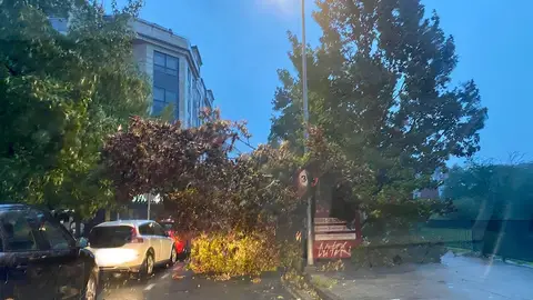 Incidencias de la borrasca Kirk en Pontevedra Una de las zonas afectadas de la ciudad de Pontevedra por los efectos de la borrasca Kirk