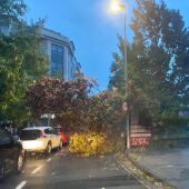 Incidencias de la borrasca Kirk en Pontevedra