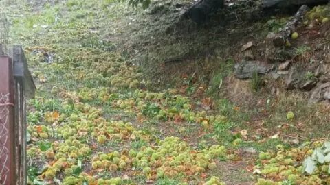 Casti&ntilde;eiros afectados polo temporal "Kirk" en Ourense