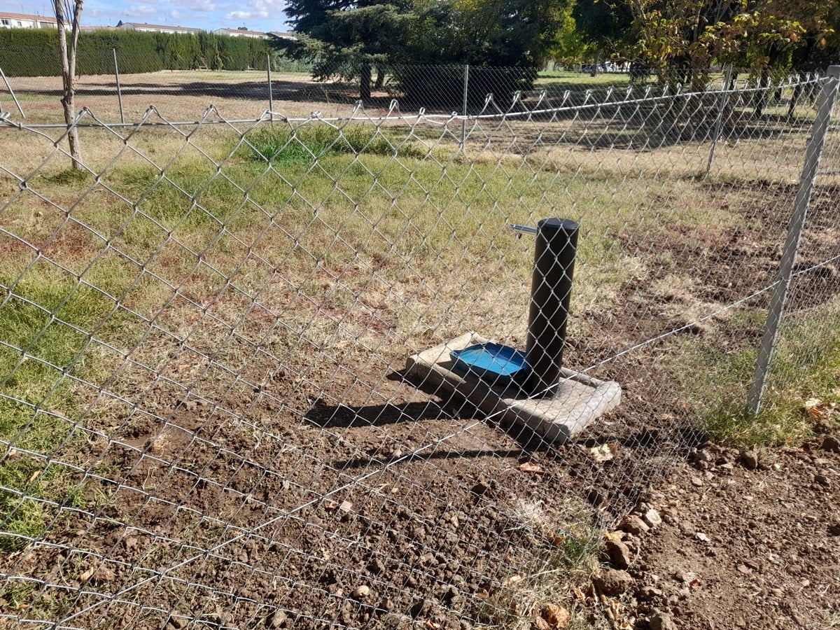 El Ayuntamiento instala fuentes de agua potable en cuatro áreas caninas de la ciudad El Ayuntamiento instala fuentes de agua potable en cuatro áreas caninas de la ciudad