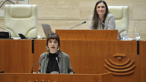 La Asamblea de Extremadura insta al Congreso, con abstenci&oacute;n del PP, a agilizar la regularizaci&oacute;n de 500.000 migrantes