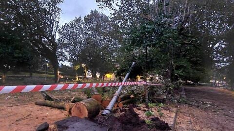 Raxoi se&ntilde;ala que los &aacute;rboles de la Alameda estaban "sanos" y que su ca&iacute;da "solo se puede atribuir a los fuertes vientos" provocados por el temporalKirk