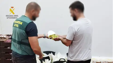 La Guardia Civil detiene a cinco personas por el robo de más de 100 kilos de uva en Monforte del Cid y Novelda. La Guardia Civil detiene a cinco personas por el robo de más de 100 kilos de uva en Monforte del Cid y Novelda.
