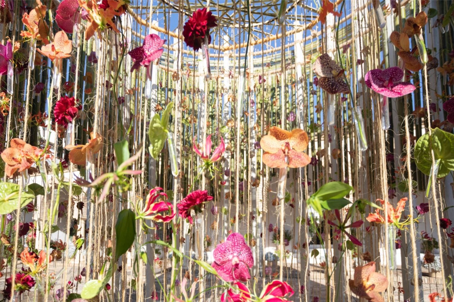 Más y más flores... Más y más flores...