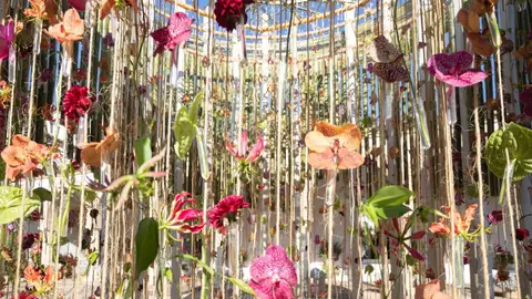 Más y más flores... Festival Flora Más y más flores... Festival Flora