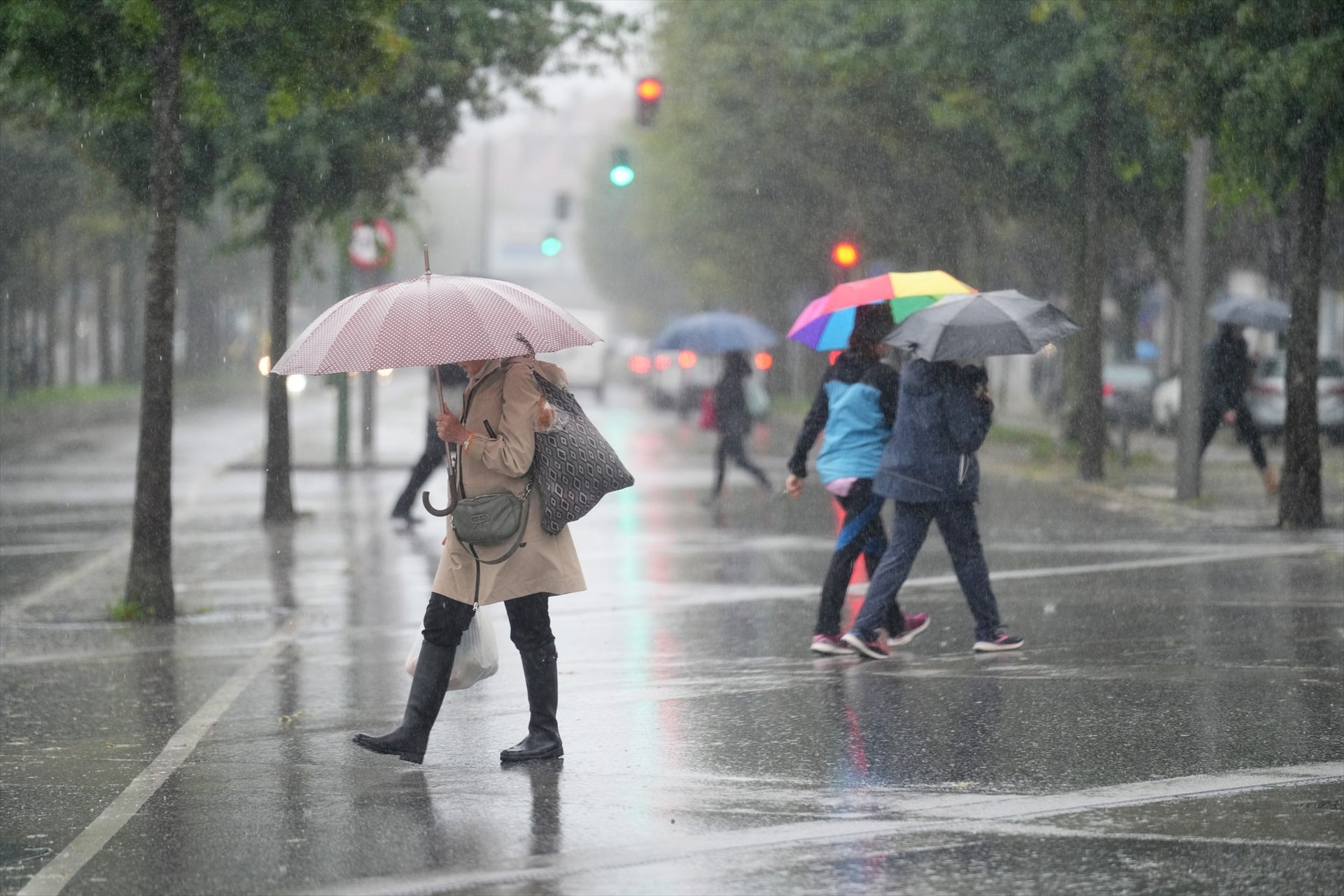 Aviso rojo por lluvias este fin de semana: la AEMET informa de "peligro extremo" en estas zonas Aviso rojo por lluvias este fin de semana: la AEMET informa de "peligro extremo" en estas zonas
