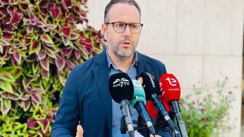 H&eacute;ctor D&iacute;ez, portavoz del PSOE en el Ayuntamiento de Elche.