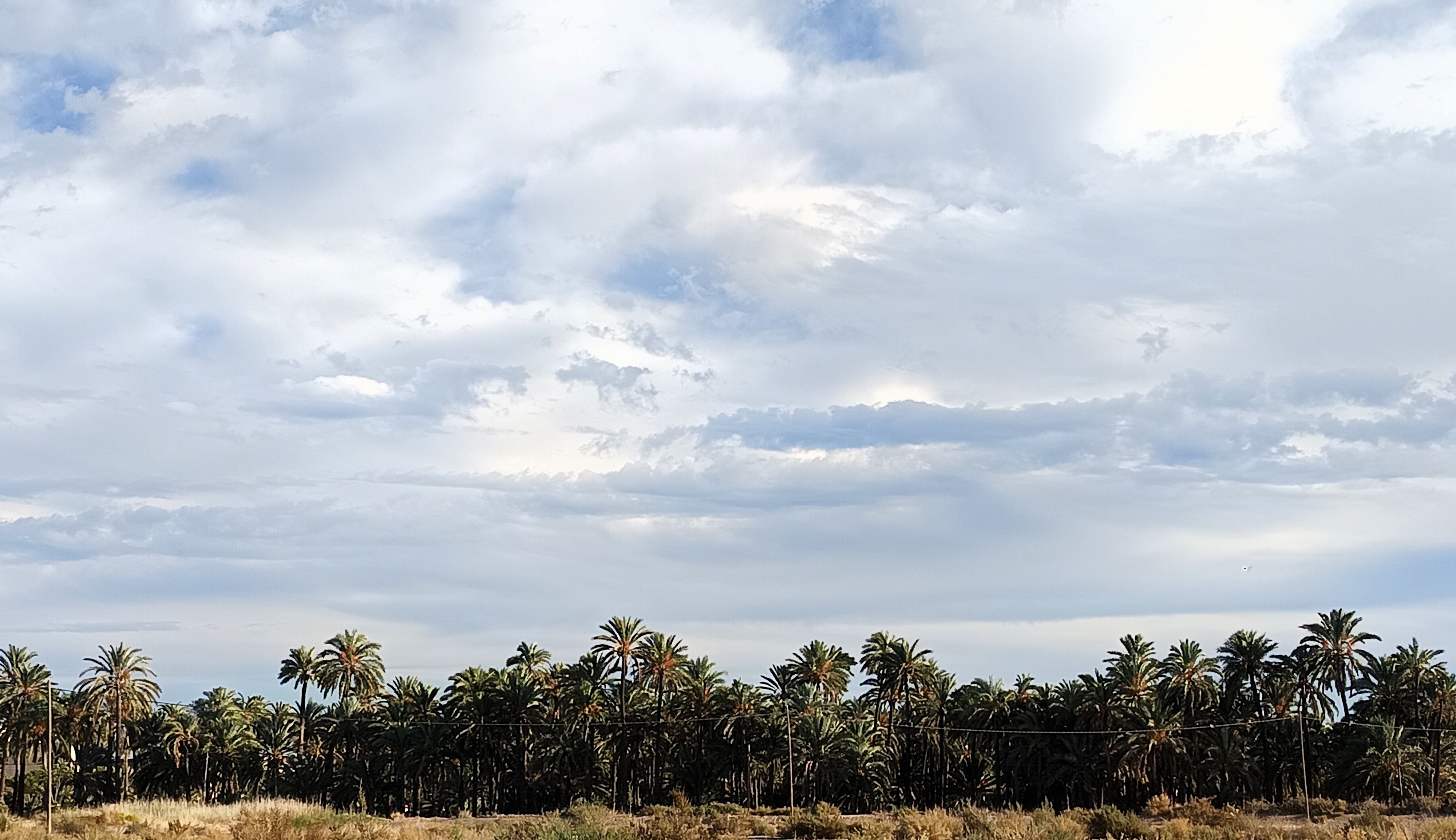 Elche, Crevillent y Santa Pola esperan un fin de semana con temperaturas sin cambios, nubes y claros Elche, Crevillent y Santa Pola esperan un fin de semana con temperaturas sin cambios, nubes y claros
