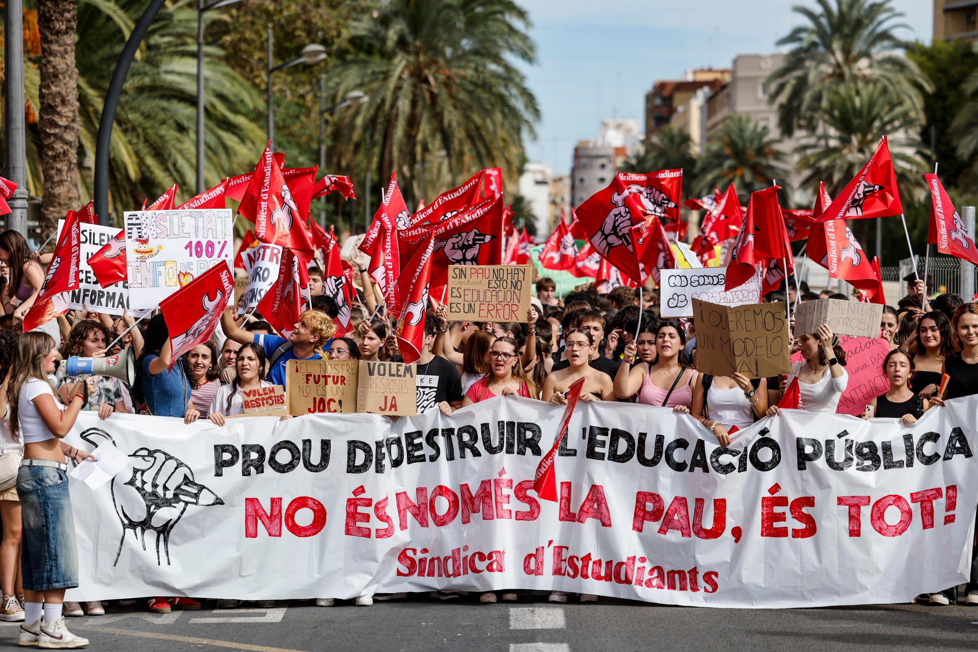 Estudiantes protestan ante Educación por el retraso en conocer los exámenes de la PAU Estudiantes protestan ante Educación por el retraso en conocer los exámenes de la PAU