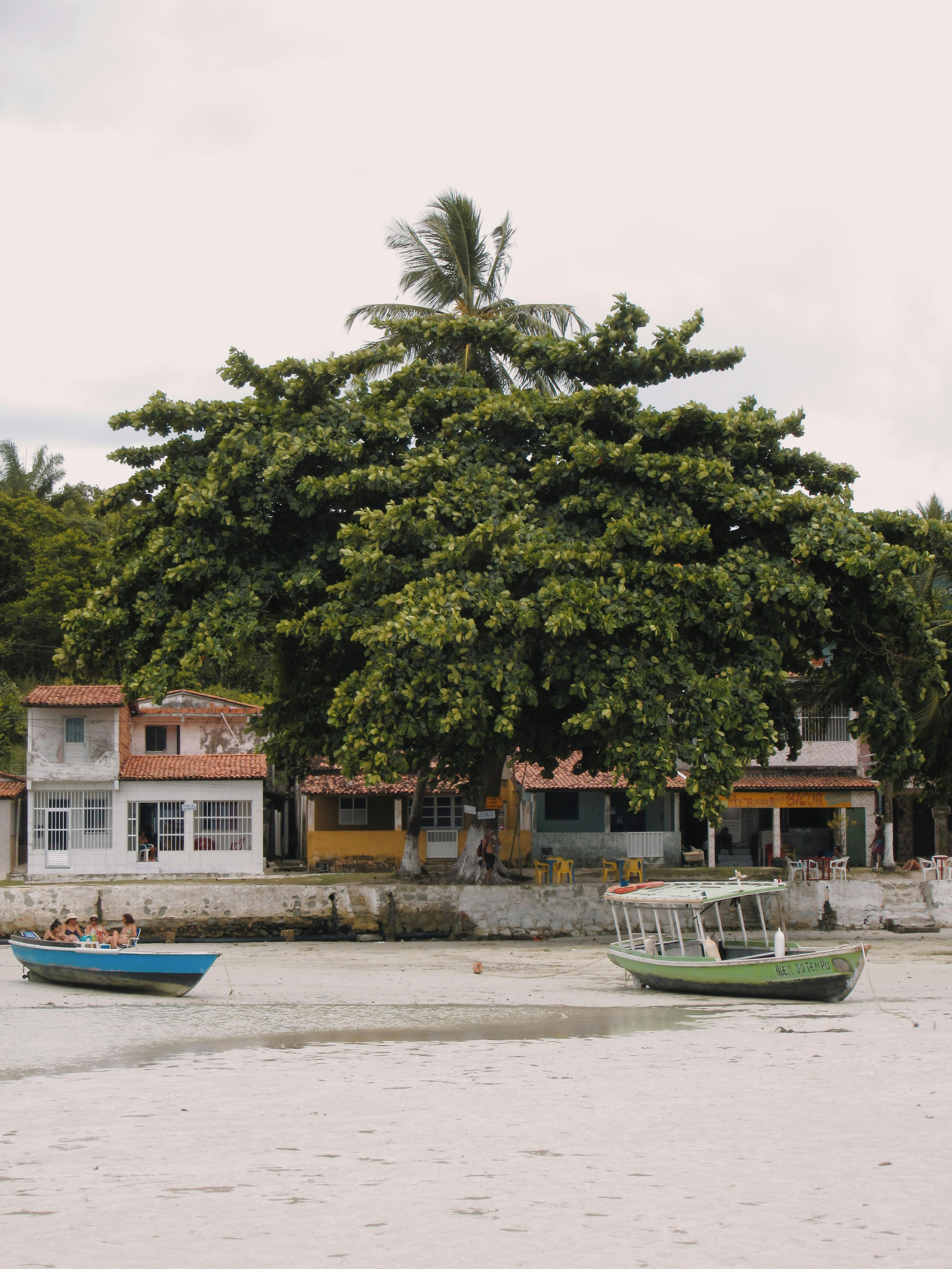 Las tres capitales vascas, entre los 15 principales donantes del mundo en cooperación internacional Las tres capitales vascas, entre los 15 principales donantes del mundo en cooperación internacional