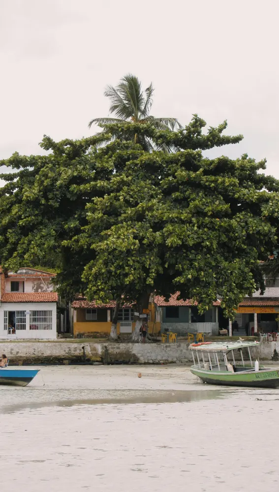 El Salvador El Salvador