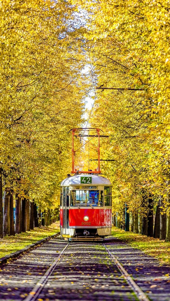Tranvía de Praga en otoño Tranvía de Praga en otoño