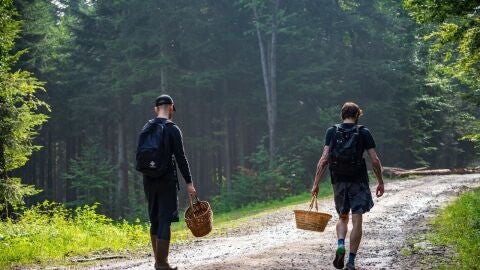 Dos hombres yendo a recoger setas al campo