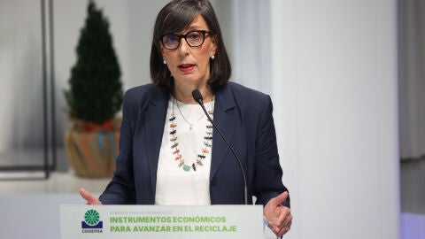 Nieves Roque&ntilde;&iacute;