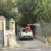 Fumigación Fumigación