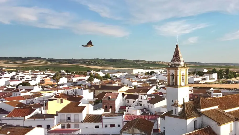 Villarrasa, a vista de pájaro. Villarrasa, a vista de pájaro.