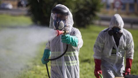 Fumigan municipios de Granada a causa del virus del nilo