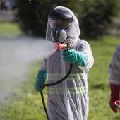 Fumigan municipios de Granada a causa del virus del nilo