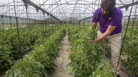 jóvenes en el campo jóvenes en el campo