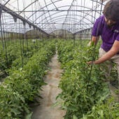 jóvenes en el campo