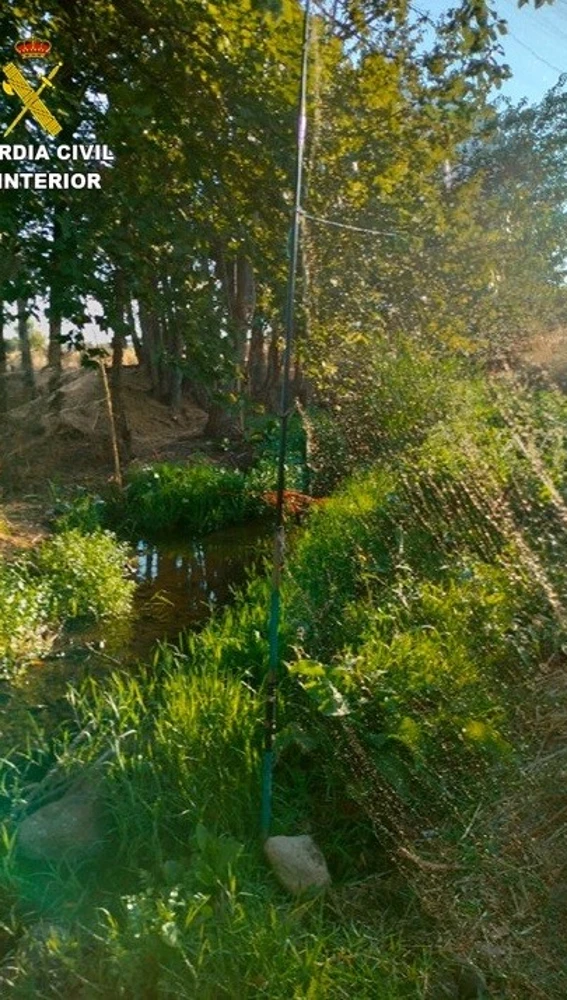 Red que encontró la Guardia Civil Red que encontró la Guardia Civil