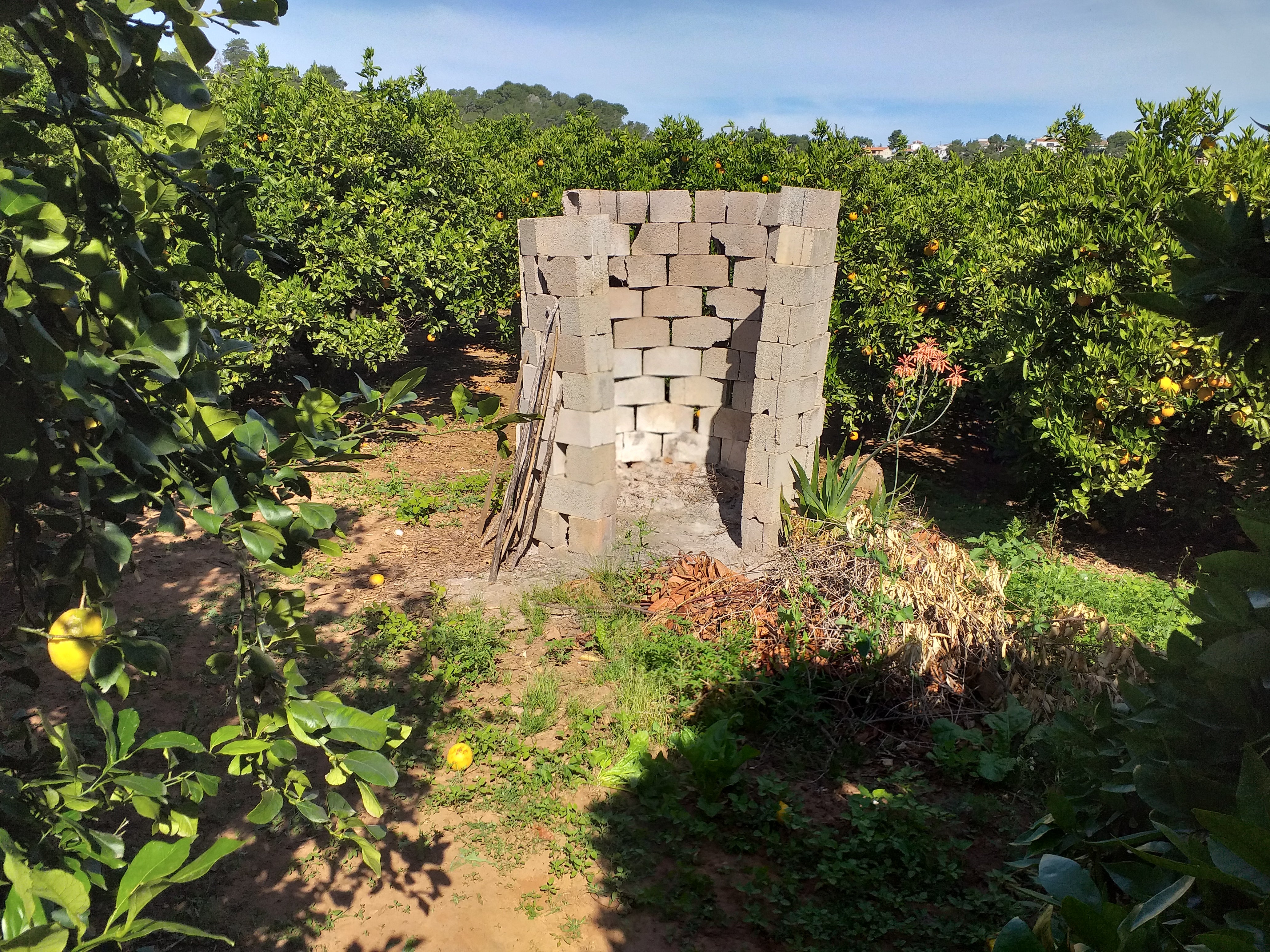 Alzira abre el periodo ordinario de quemas desde mediados de octubre Alzira abre el periodo ordinario de quemas desde mediados de octubre