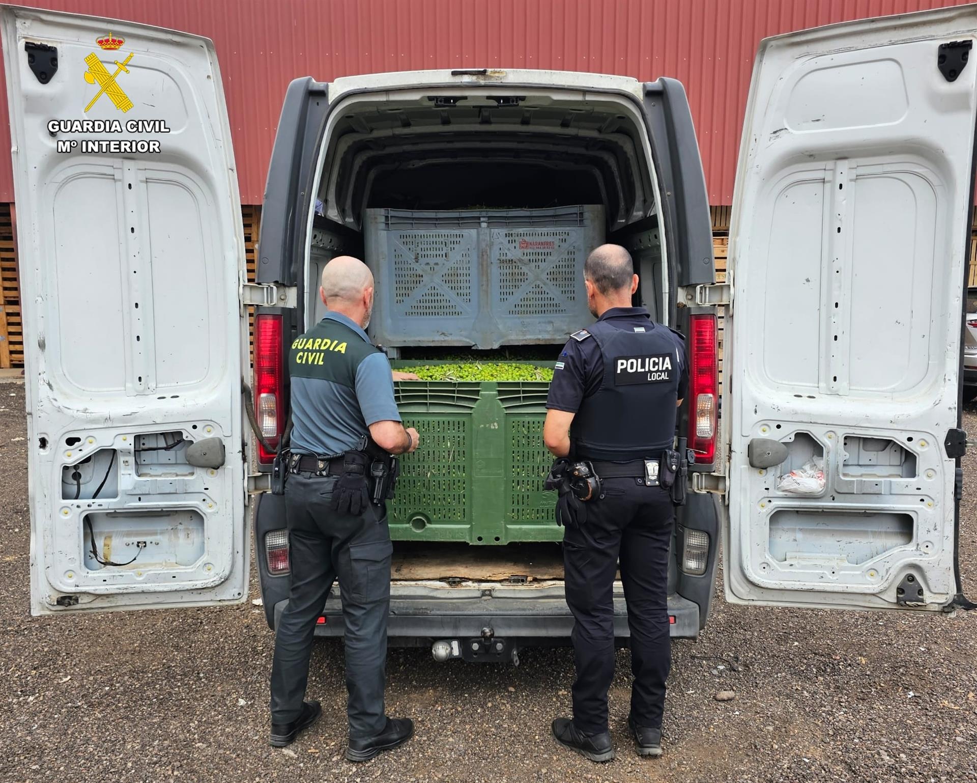 La Guardia Civil investiga a dos trabajadores de una empresa de transporte por robar 9.000 kilos de aceitunas La Guardia Civil investiga a dos trabajadores de una empresa de transporte por robar 9.000 kilos de aceitunas