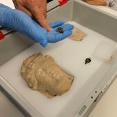 Nuevas piezas en yacimientos de Villajoyosa