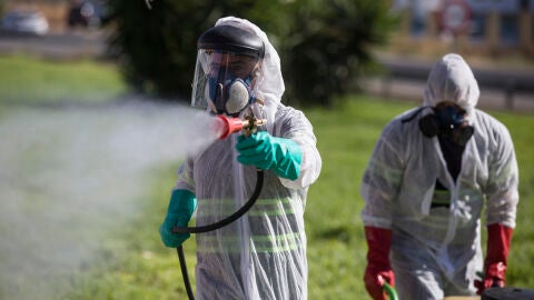 Diputaci&oacute;n asumir&aacute; la fumigaci&oacute;n de los municipios afectados por el virus del Nilo en la provincia