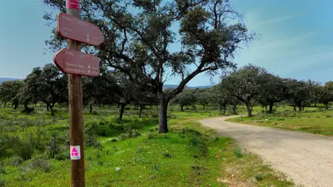 Una nueva plataforma web promocionará 72 rutas de senderismo de 14 municipios del entorno del Parque Nacional de Monfragüe Una nueva plataforma web promocionará 72 rutas de senderismo de 14 municipios del entorno del Parque Nacional de Monfragüe