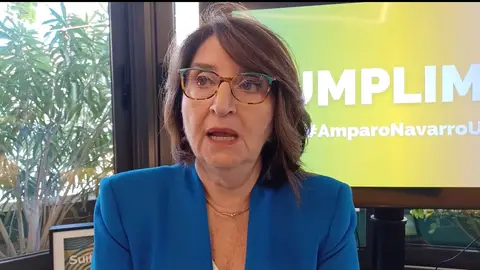 Amparo Navarro durante su comparecencia de hoy Amparo Navarro durante su comparecencia de hoy