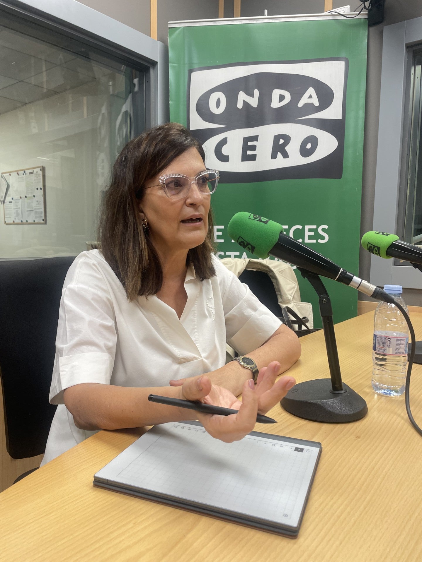 El Ayuntamiento de Málaga espera poner en marcha la Zona de Bajas Emisiones este otoño El Ayuntamiento de Málaga espera poner en marcha la Zona de Bajas Emisiones este otoño