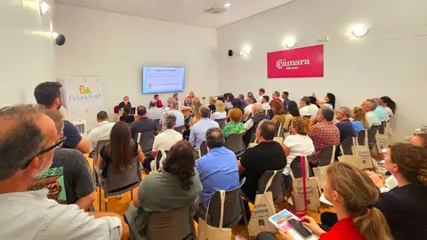 Finestrat continuará informando vía whatsApp sobre el funcionamiento del nuevo Decreto regulador de apartamentos turísticos Finestrat continuará informando vía whatsApp sobre el funcionamiento del nuevo Decreto regulador de apartamentos turísticos