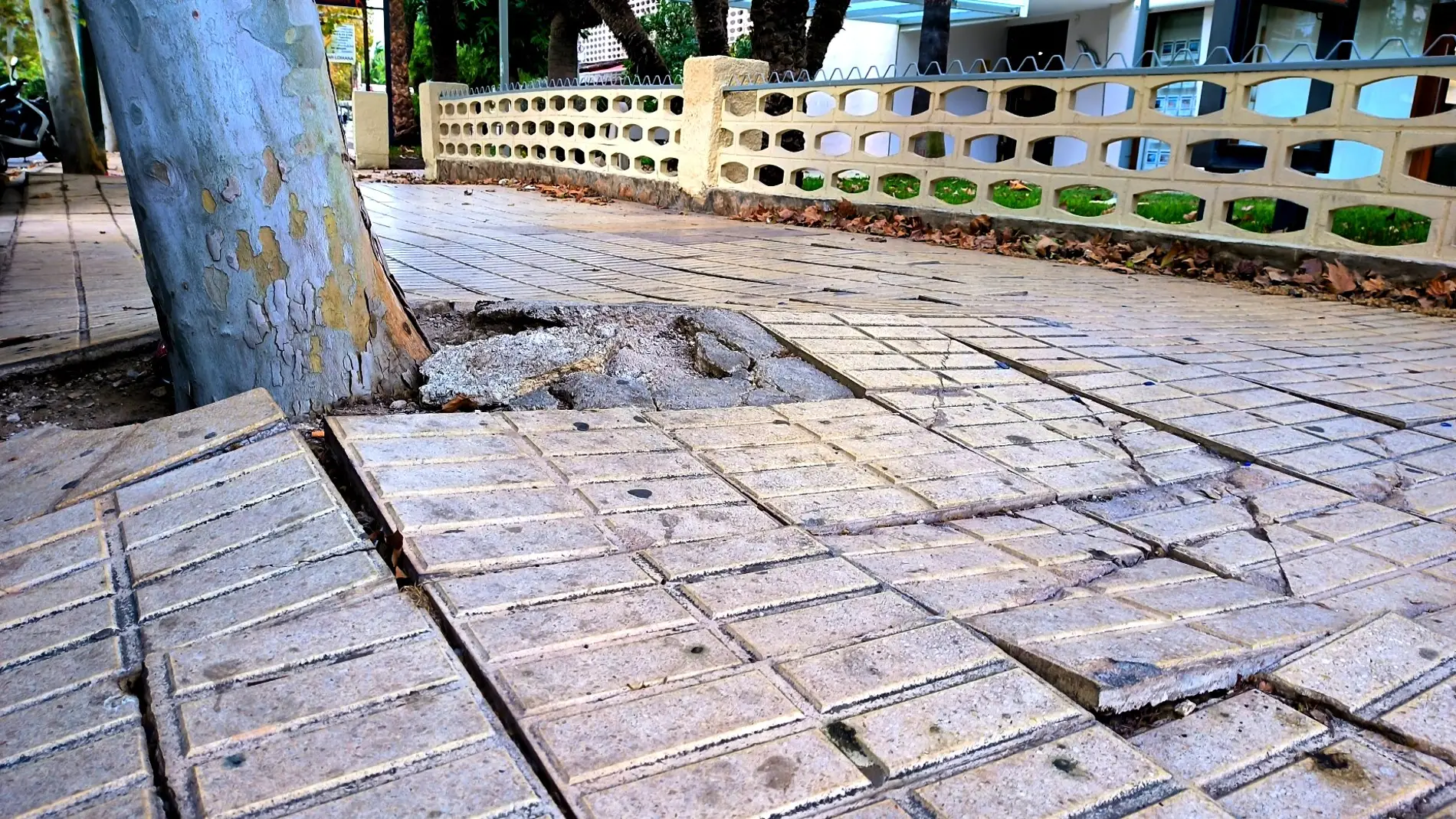 El PSOE de Benidorm reclama una solución al estado de la avenida de Montecarlo El PSOE de Benidorm reclama una solución al estado de la avenida de Montecarlo