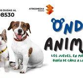 ONDA ANIMAL ONDA ANIMAL