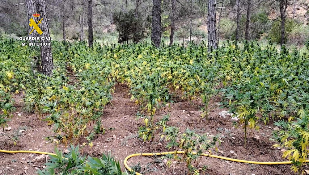 Las balsas de agua estaban conectadas al río "Ojos de Moya" Las balsas de agua estaban conectadas al río "Ojos de Moya"