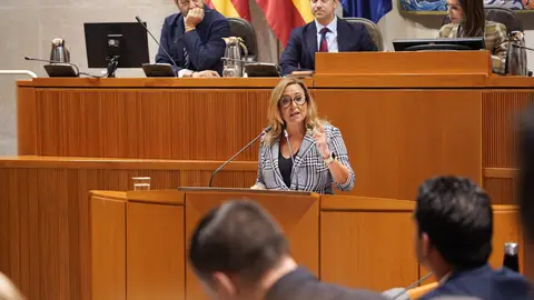 La portavoz del PSOE, Mayte Pérez, en su intervención en el parlamento La portavoz del PSOE, Mayte Pérez, en su intervención en el parlamento